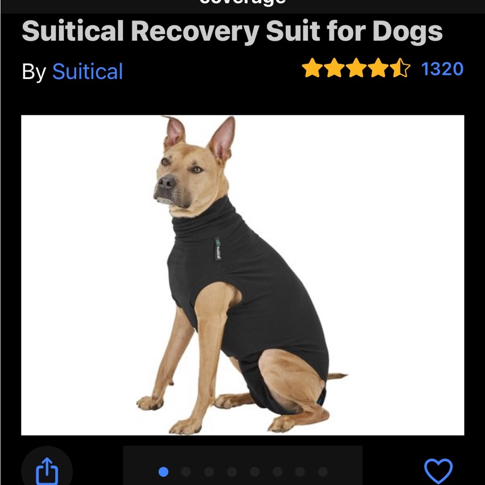 Only worn 1x to try on (was too big for my pup so sized down) BLACK SIZE MEDIUM+